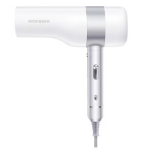 Secador de cabelo profissional (127V)